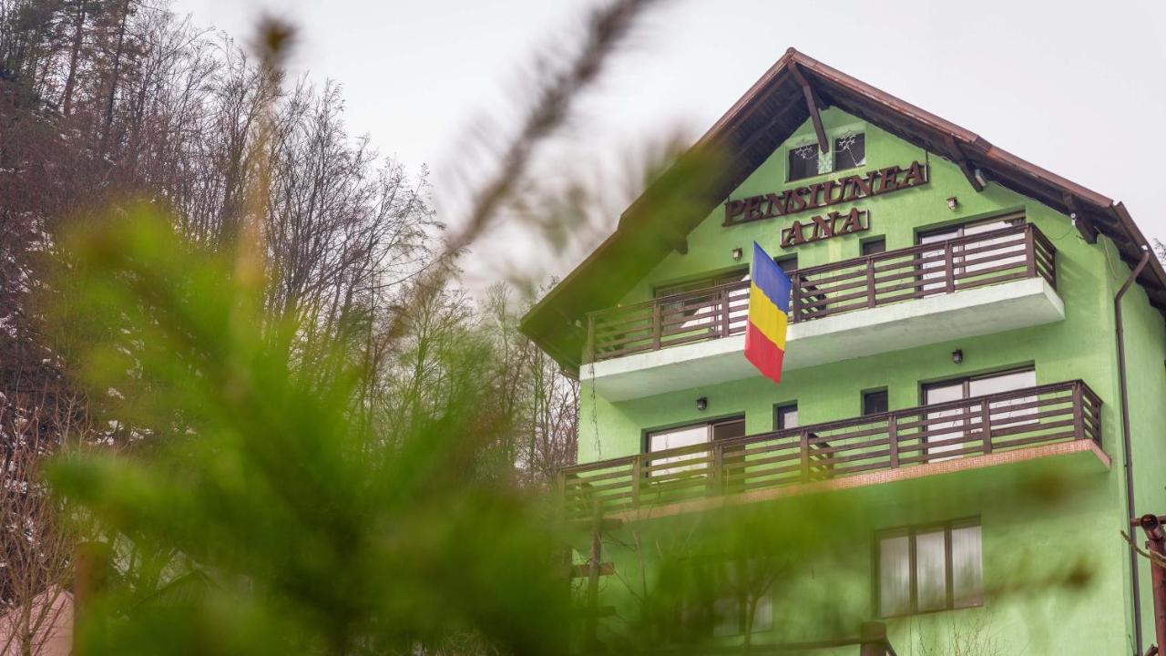 Pensiunea Ana Cavnic Esterno foto